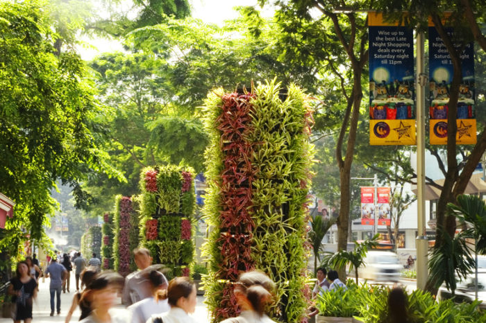 Public Domain, Orchard Road, streetscape, trees, plants, Landscape Architecture