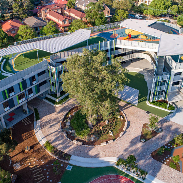 Education, Homebush West Public School, trees, planting, path, play area