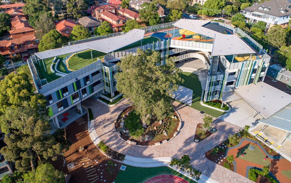 Education, Homebush West Public School, trees, planting, path, play area